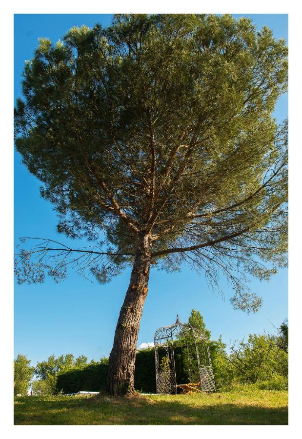 Chambre Soignee Et Accueillante A La Campagne - Ch Bleue L'Honor-de-Cos Dış mekan fotoğraf